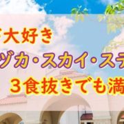 タカラヅカ・スカイ・ステージ視聴方法