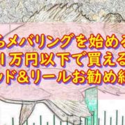 メバリング初心者