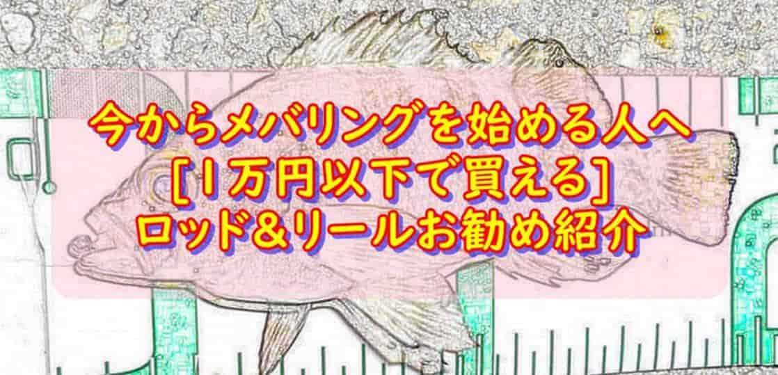 メバリング初心者