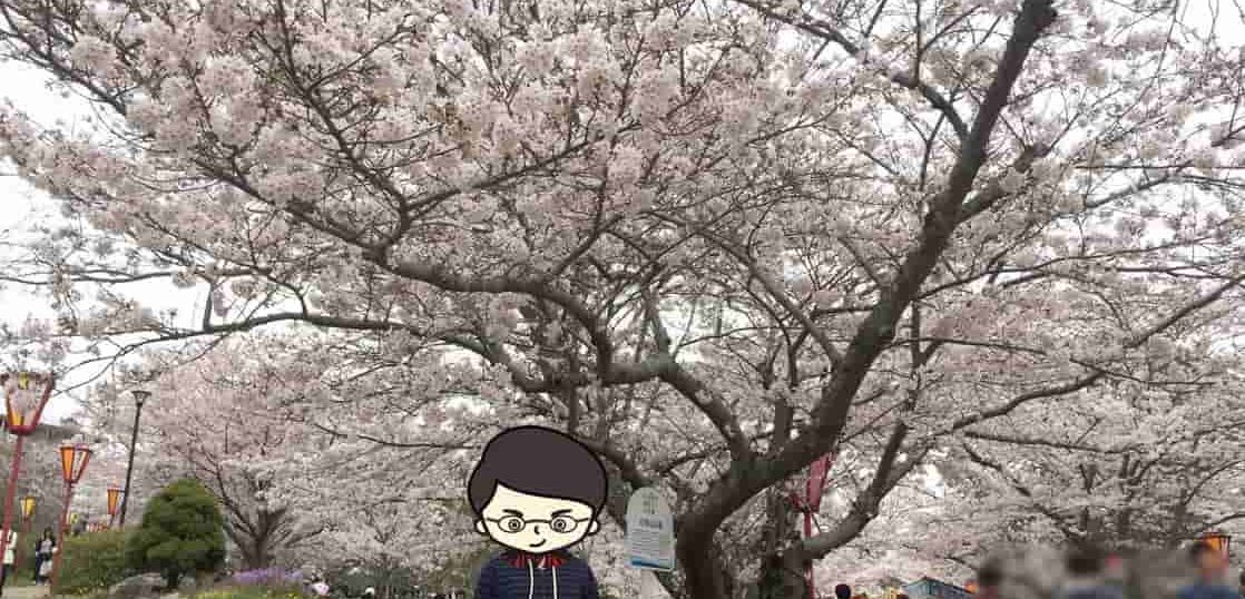 ポケモンgoで加古川観光 No 7 日岡山公園 お花見シーズンが最高です かつっぺblog