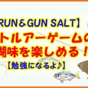 【RUN＆GUN SALT】ライトルアーゲームの醍醐味を味わえる！【勉強】