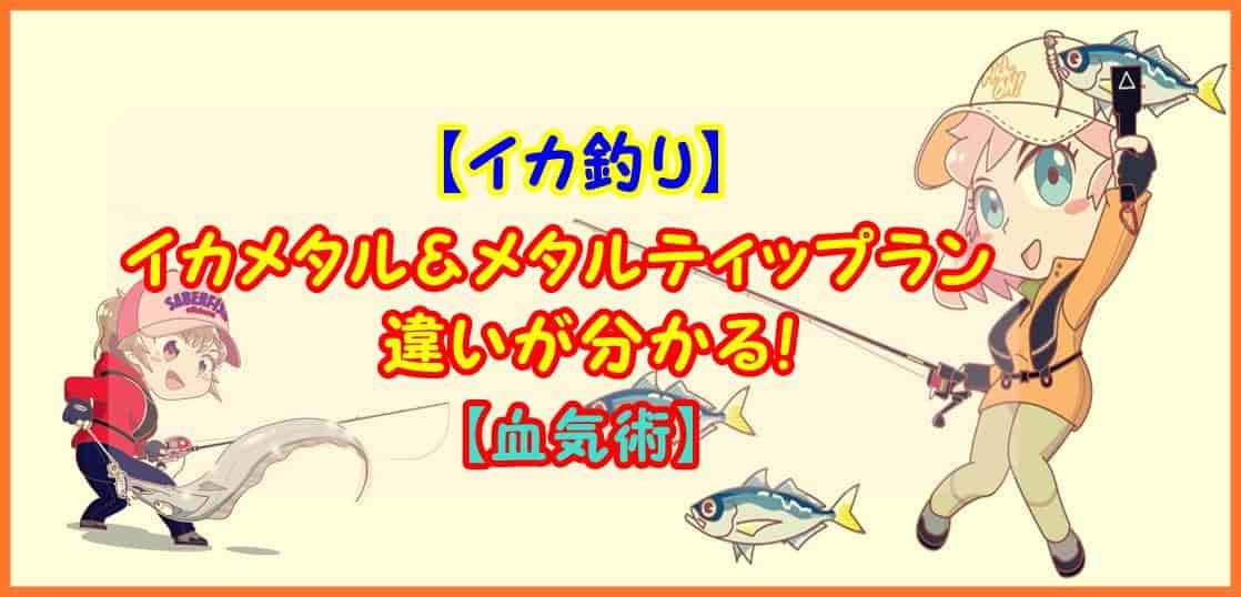 【イカ釣り】イカメタル＆メタルティップラン 違いが分かる！【血気術】