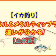 【イカ釣り】イカメタル＆メタルティップラン 違いが分かる！【血気術】