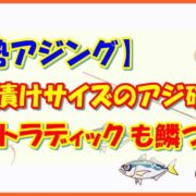 【坊勢アジング】 南蛮漬けサイズのアジ確保 19ストラディックも鱗づけ
