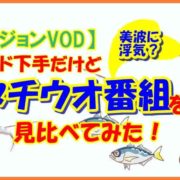 【釣りビジョンVOD】ワインド下手だけどタチウオ番組を見比べてみた【美波に浮気？】
