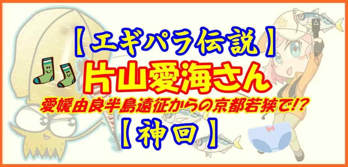 【エギパラ伝説】片山愛海さん愛媛由良半島遠征からの京都若狭で!?【神回】
