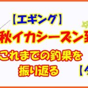 【エギング】秋イカシーズン到来！これまでの釣果を振り返る【ダート】