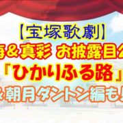 【宝塚歌劇】望海＆真彩 お披露目公演『ひかりふる路』彩風＆朝月ダントン編も見たい