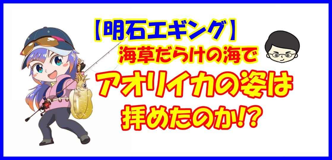 【明石エギング】海草だらけの海でアオリイカの姿は拝めたのか!?