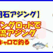 【明石アジング】エギングロッドで激流アジング キャロで釣る