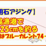 【明石アジング】近場漁港で25cmを釣る－今日はブルーカレント74－