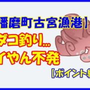 【播磨町古宮漁港】イイダコ釣り...イイやん不発【ポイント紹介】