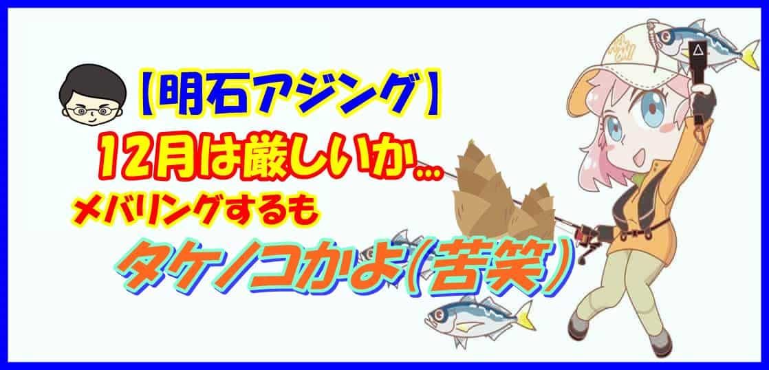 【明石アジング】12月は厳しいか...メバリングするもタケノコかよ（苦笑）